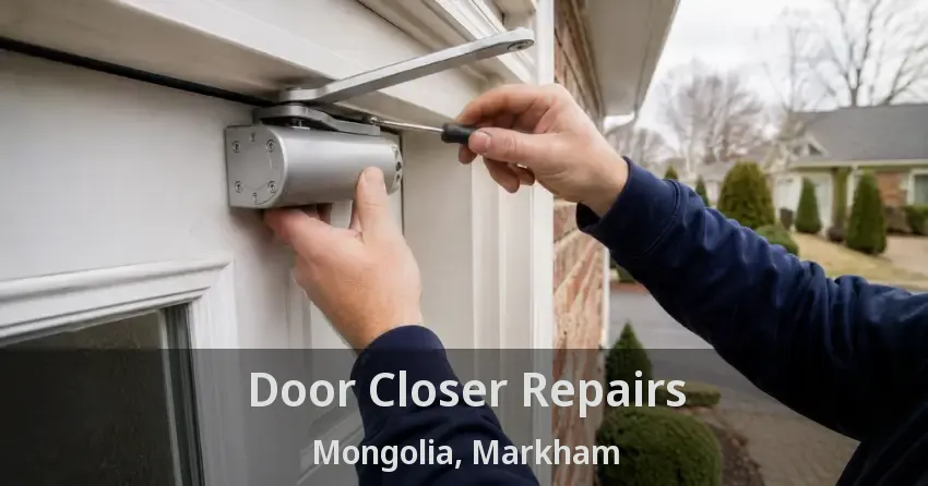 Door Closer Repairs Mongolia, Markham - ON